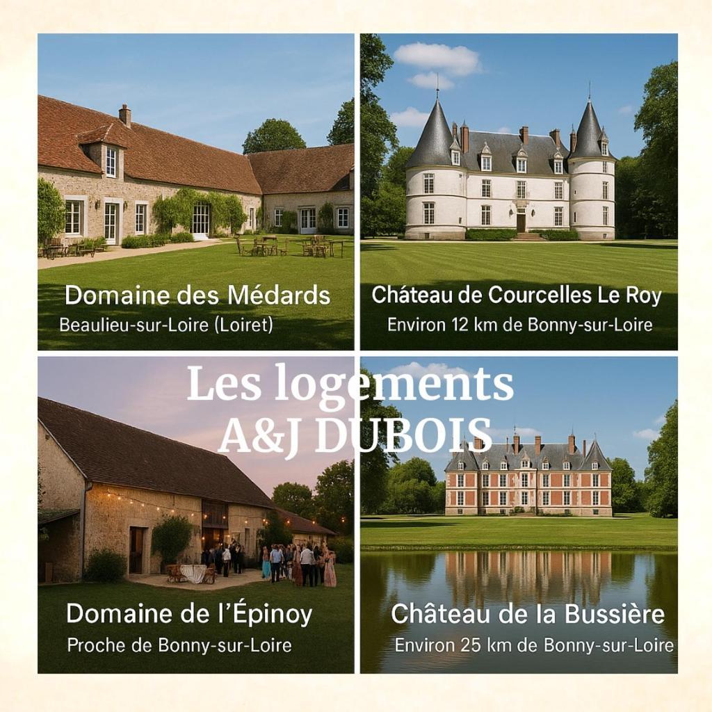 A&Jduplex - Bonny Sur Loire - Chateaux De Guedelon - Pont Canal Eksteriør billede